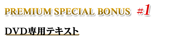 PREMIUM SPECIAL BONUS ＃1 DVD専用テキスト