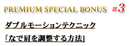 PREMIUM SPECIAL BONUS 3 _u[VeNjbNuȂŌ𒲐@v