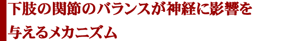 下肢の関節のバランスが神経に影響を与えるメカニズム