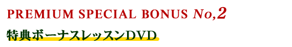 PREMIUM SPECIAL BONUS No,2  T{[iXbXDVD