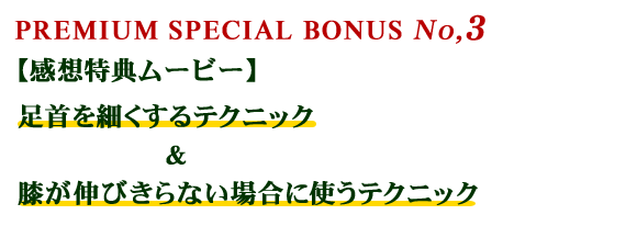 PREMIUM SPECIAL BONUS No,3@yzT[r[zׂeNjbNGLтȂꍇɎgeNjbN