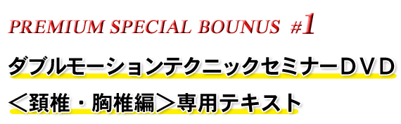 PREMIUM SPECIAL BOUNUS #1 _u[VeNjbNZ~i[DVDzŁEŕҁpeLXg