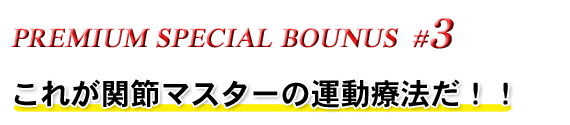 PREMIUM SPECIAL BOUNUS #3 ꂪ֐߃}X^[̉^Ö@II