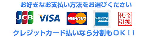 お好きなお支払い方法をお選びいただけます。VISA、MasterCard、JCB、AMEX