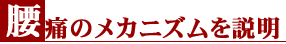 腰痛のメカニズムを説明