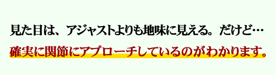 ڂ́AAWXgnɌBǁcmɊ֐߂ɃAv[`Ă̂킩܂B